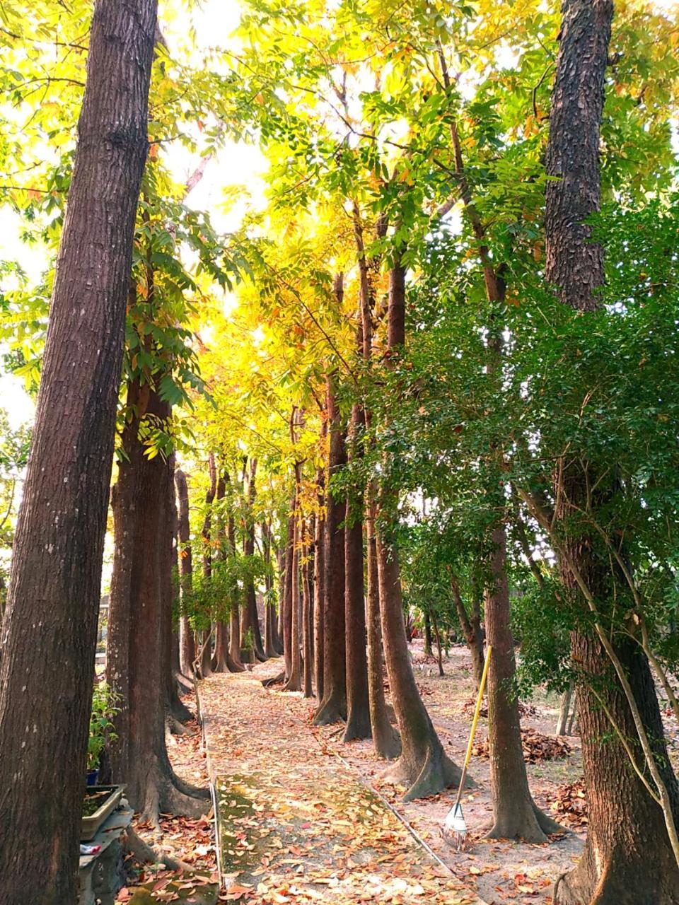 Meinong Yun Shanju Homestay Mei-nung Eksteriør bilde